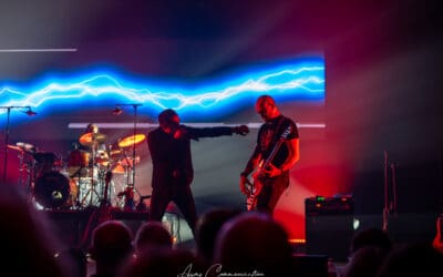 tribute u2