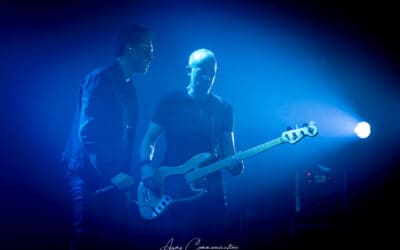 tribute U2