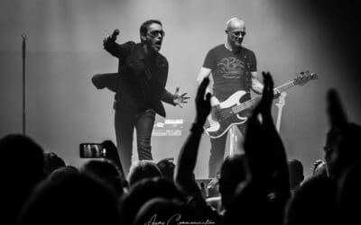 tribute u2