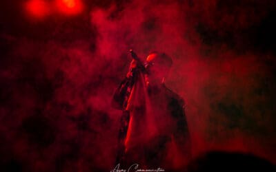 tribute u2