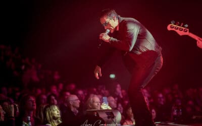 tribute u2